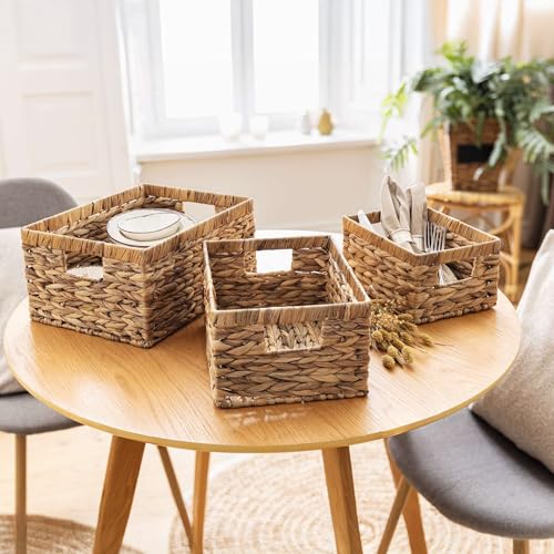 FRANK FLECHTWAREN Aufbewahrungskorb Wasserhyazinthe, klein, Metallrahmen Maße: 25 x 18 x 13 cm