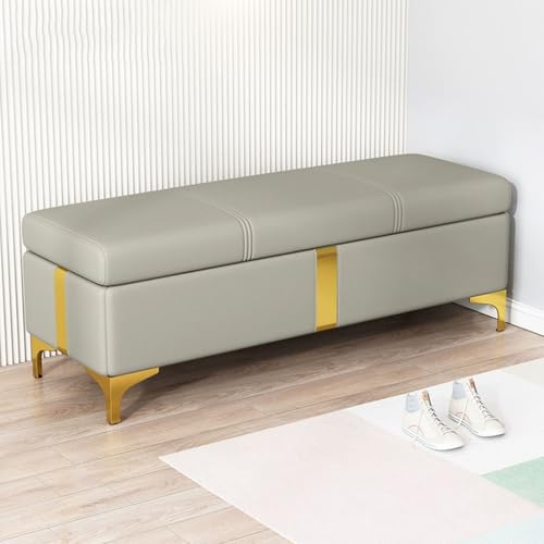 Große Aufbewahrungsbank für Schlafzimmer, gepolsterte Fußstütze mit Hebebügel, Leder-Pouf, Truhe, Organizer, Hellgrau (50 cm), stilvolle und funktionale Heimdekoration