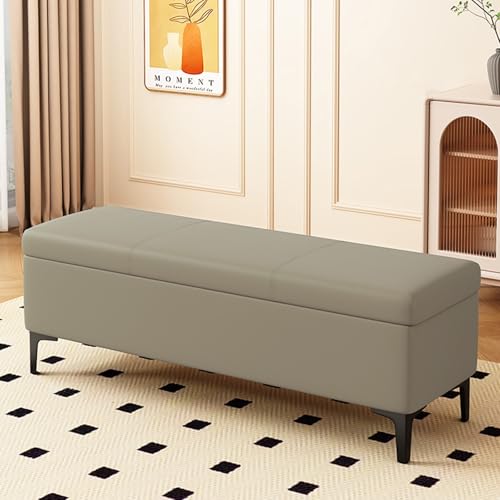 Stilvolle Aufbewahrungsbank für Schlafzimmer und Flur, multifunktionale Schuhbank mit Sitz, Ledertruhe für Bett, Fuß und Schuhbox, platzsparender Eingangsbereich (B 110 x 40 cm)